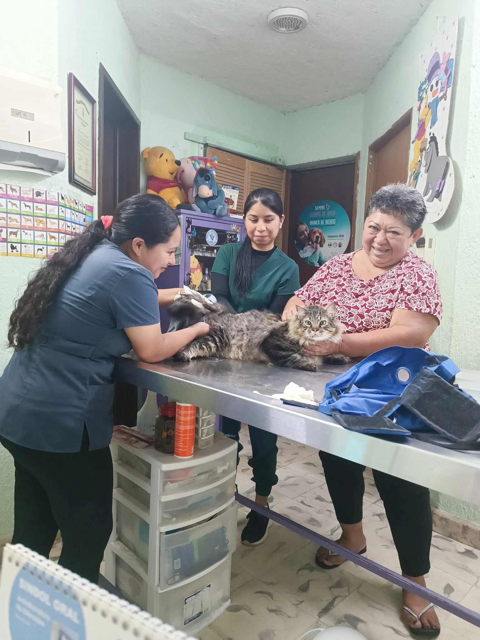 Imagen de la galeria