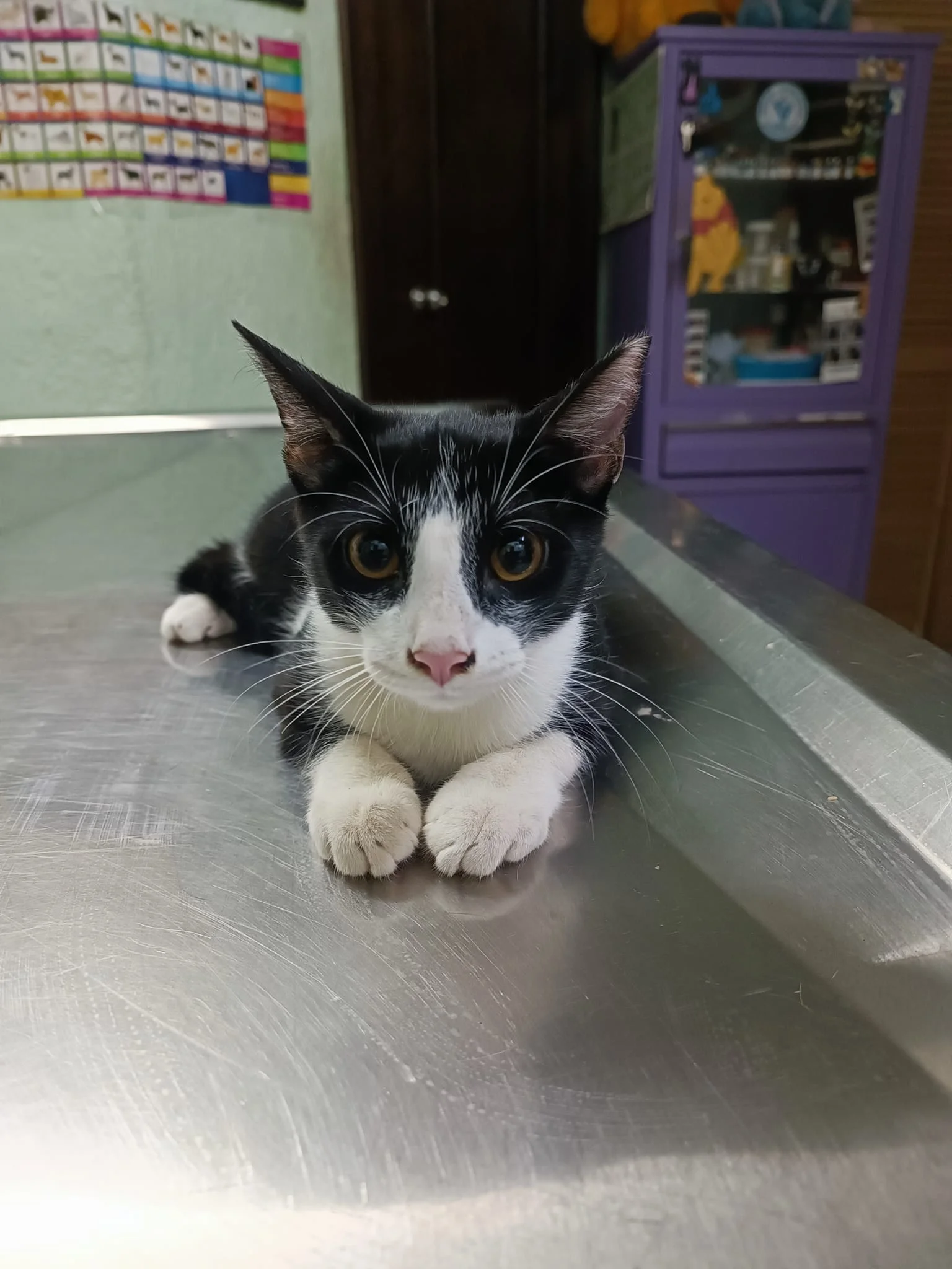 Imagen de la galeria