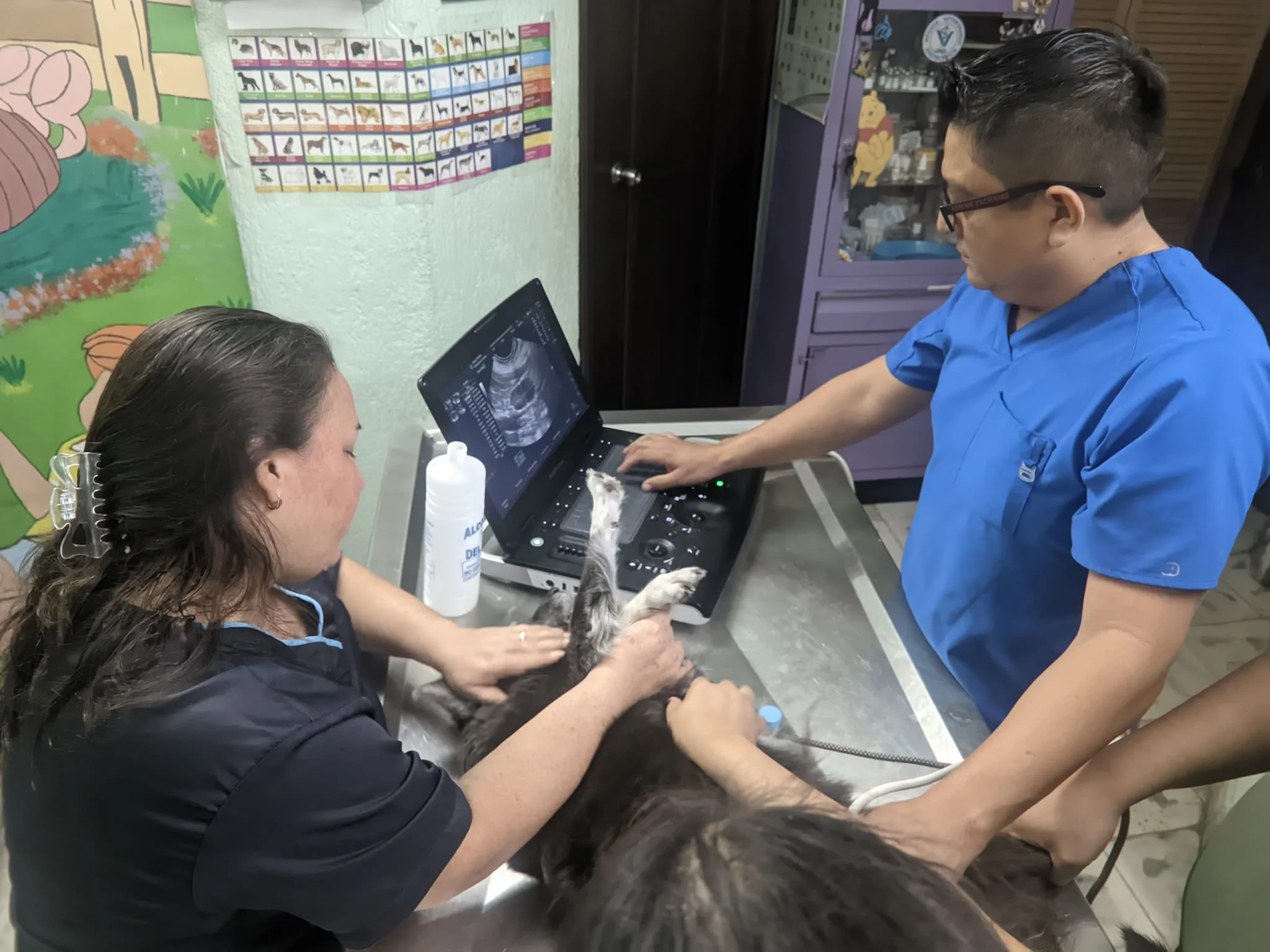 Imagen de la galeria