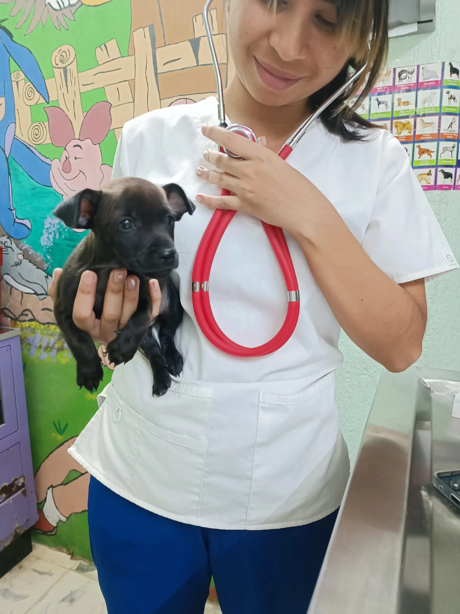 Imagen de la galeria